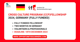 Institut Für Auslandsbeziehungen Crossculture Programme Fellowships 2024